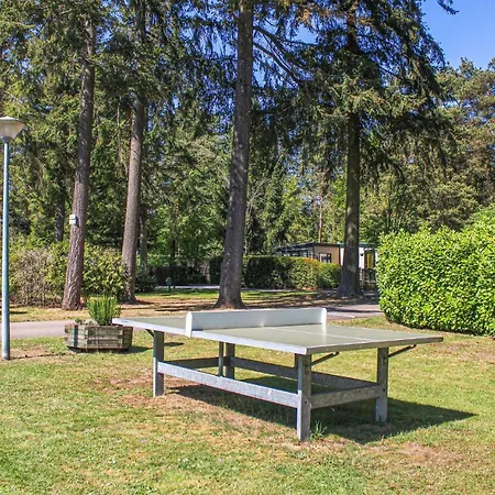 Amazing In With Kitchen